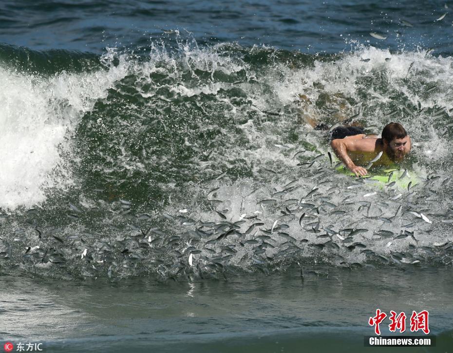 新春灯会“花式”点亮文旅经济